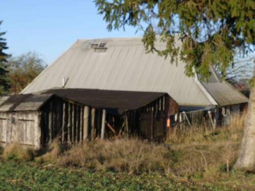 P1080292.JPG - 5 Zimmer Bauernhaus, Landhaus in Klein Belitz