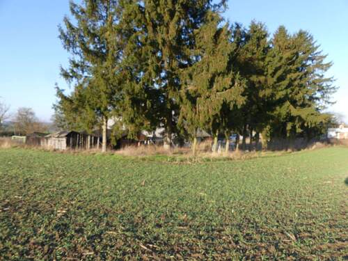 P1080294.JPG - Bauernhaus, Landhaus mit 100,00 m&sup2; in Klein Belitz zum Kaufen