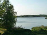 Bild 2 - 4 Zimmer Einfamilienhaus zum Kaufen in Mühbrook