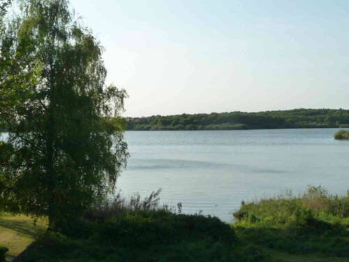 Bild 2 - 4 Zimmer Einfamilienhaus zum Kaufen in Mühbrook
