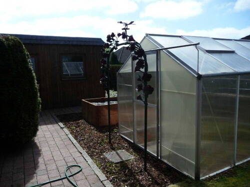 Bild 8 - 