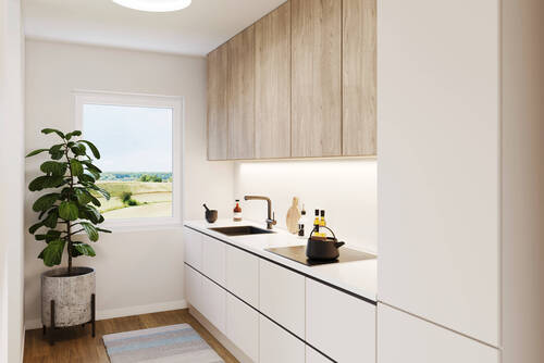 Küche - 2 Zimmer Etagenwohnung in Kitzscher