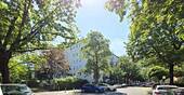 Hausansicht - 