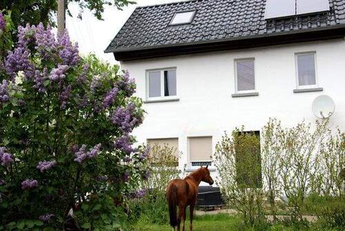 Ansicht.jpg - Anschauen * Einziehen * Wohlfühlen