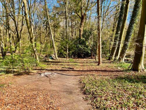 3.jpg - Grundstück in Hamburg zum Kaufen