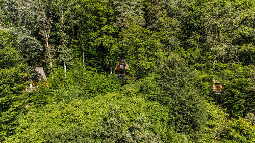 Baumhäuser - 7 Zimmer Mehrfamilienhaus, Wohnhaus in Gräfendorf