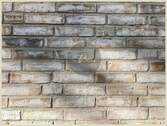 Detailaufnahme (Fassade) - 