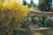 Pergola und Garten - 