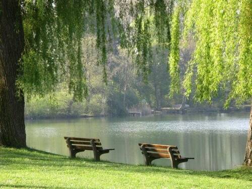 Steißlingen 2 - Büro in Steißlingen