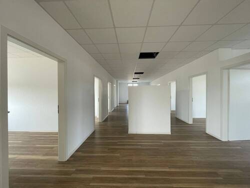 Fläche - 1 Zimmer Büro zur Miete in Dessau-Roßlau