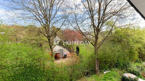 Ausblick - 