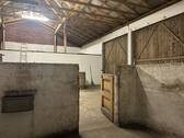 Halle mit Stallboxen - 