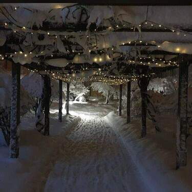 Schnee - Laubengang - 