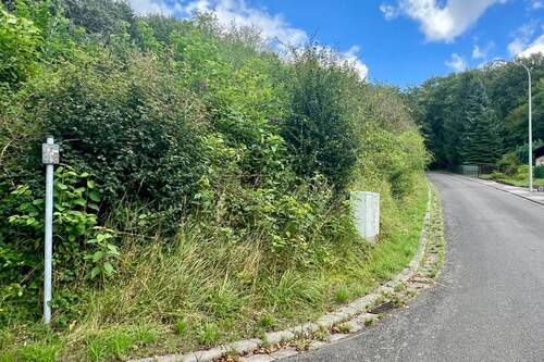 2 - Grundstück zum Kaufen in Langenbach