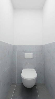 Visualisierung Gäste-WC - 
