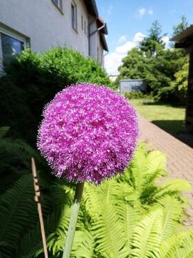 Bild 1 - Büro Praxisetage in bester Lage in Wolfenbüttel mit Parkplätzen