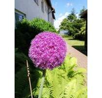 Büro Praxisetage in bester Lage in Wolfenbüttel mit Parkplätzen