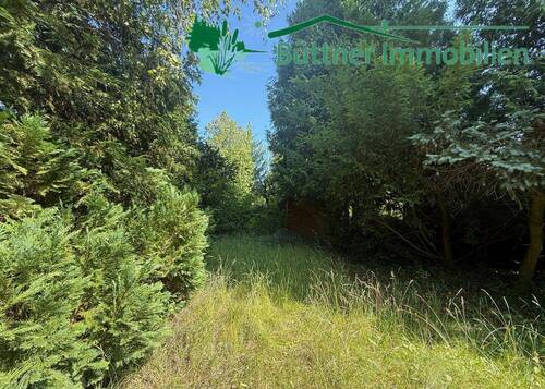 Blick Richtung Norden - 
