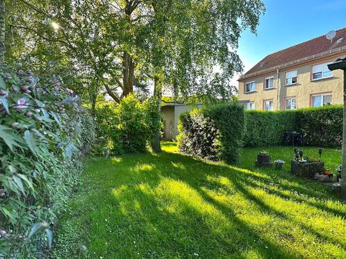 Gemeinschaftsgarten - 