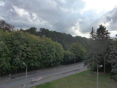 Wohnzimmerausblick - 