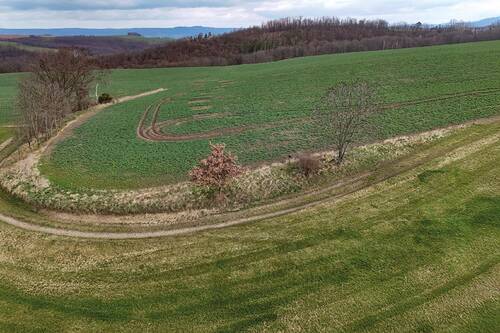 Blick aufs Grundstück - 