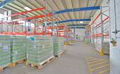 Halle (5) - 