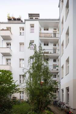 Hinterhof - 