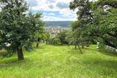Ansicht Grundstück - Grundstück zum Kaufen in Plüderhausen