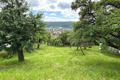 Ansicht Grundstück - Grundstück zum Kaufen in Plüderhausen