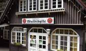 Impressionen (2) - 