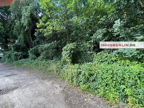 IMG_8022.jpg - Grundstück in Wandlitz zum Kaufen