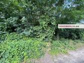 IMG_8025.jpg - 