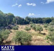 10.000 qm Grundstück in Xirosterni, Kreta: Harmonische Balance zwischen Natur und Potenzial