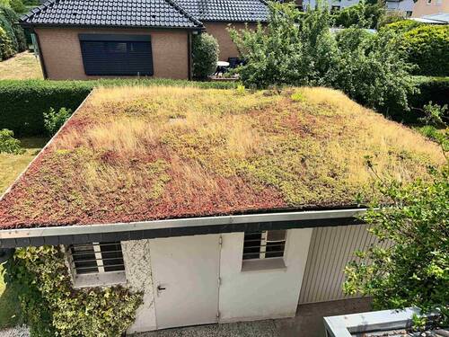 Blick auf Werkstatt u. Garage (Naturdach) - 