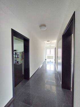 20250409_135208.jpg - 