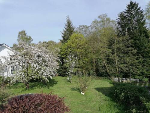 Blick in den Garten - 