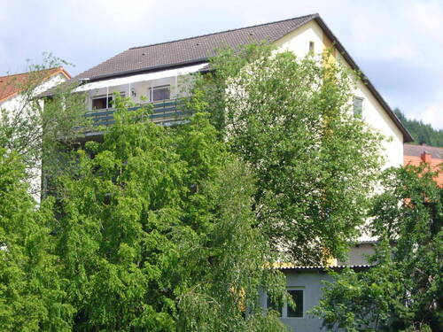 Hausansicht hinten - 