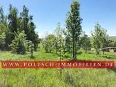 8cAnsicht4 - Grundstück in Hermsdorf zum Kaufen