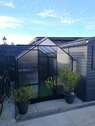 Gewächshaus - 