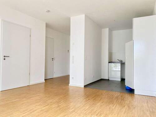 Wohnzimmer/Küche - 2 Zimmer Etagenwohnung zur Miete in Osnabrück