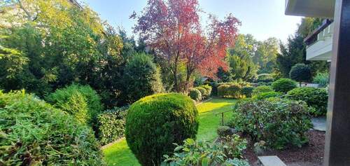 Leuchtende Gartenimpressionen - 