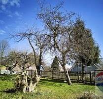 Baugrundstück in Bestlage mit Traumpanoramablick - Gersthofen Rettenbergen