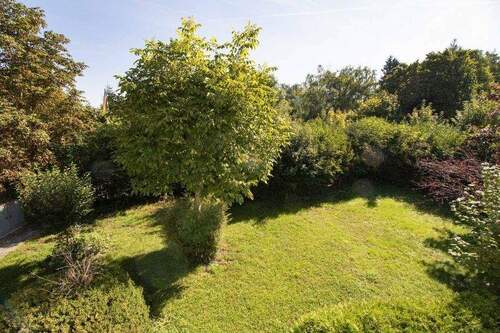 Blick in den Garten - 