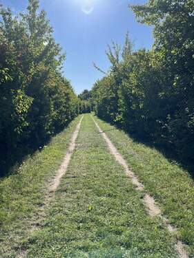 Unmittelbare Umgebung - 