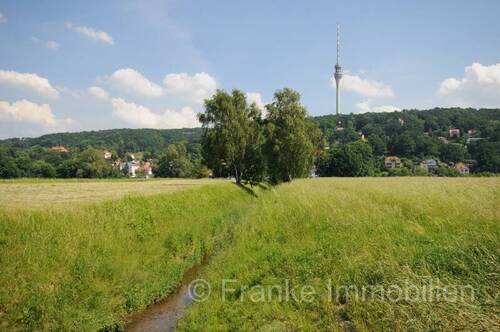 Elbwiesen fußläufig erreichbar - 