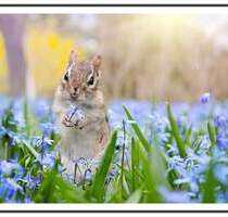 Charlottenburg Jugendstil-Altbau, 2-Fußminuten zum Ku´Damm im ruhigen Gartenhaus! - Berlin