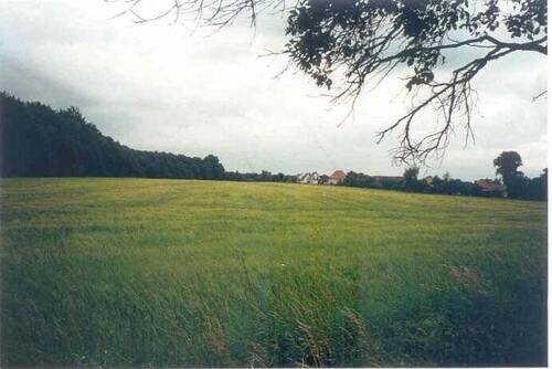 Bild 1 - da gabs mal einen WOHNbebauungsplan nur für PROFIS für RH, DH, EFH, Mischgebiet, Draht zum Amt notwendig