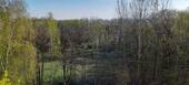 Ausblick - 