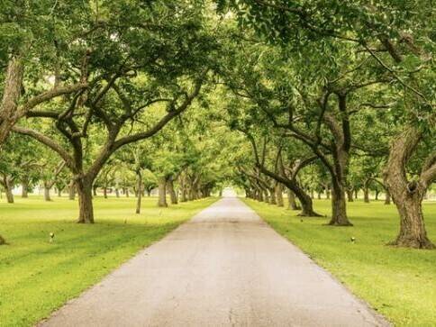 Der Abtnaundorfer Park - 