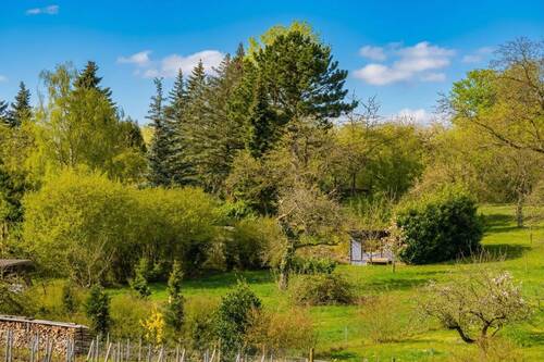 01a - Naturparadies in Bestlage: Ihr privater Rückzugsort am Trappensee